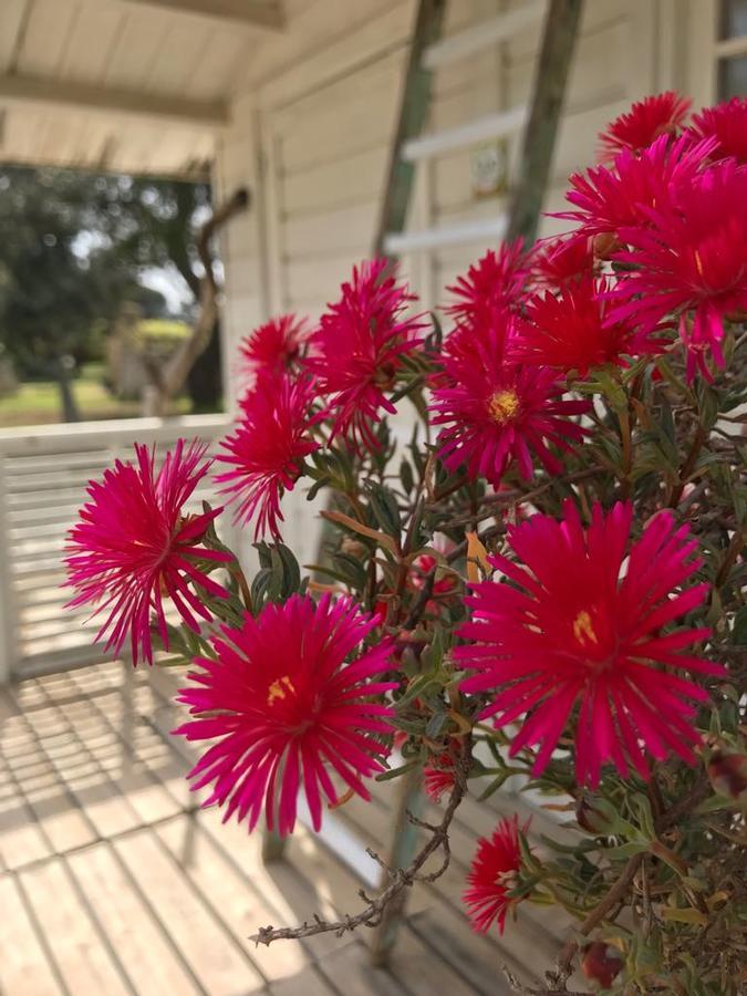 Tenuta I Quattro Venti Otranto Luaran gambar